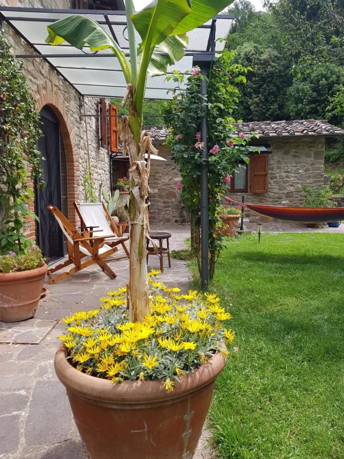 La Casa Nel Chianti Apartment Greve in Chianti Exterior photo