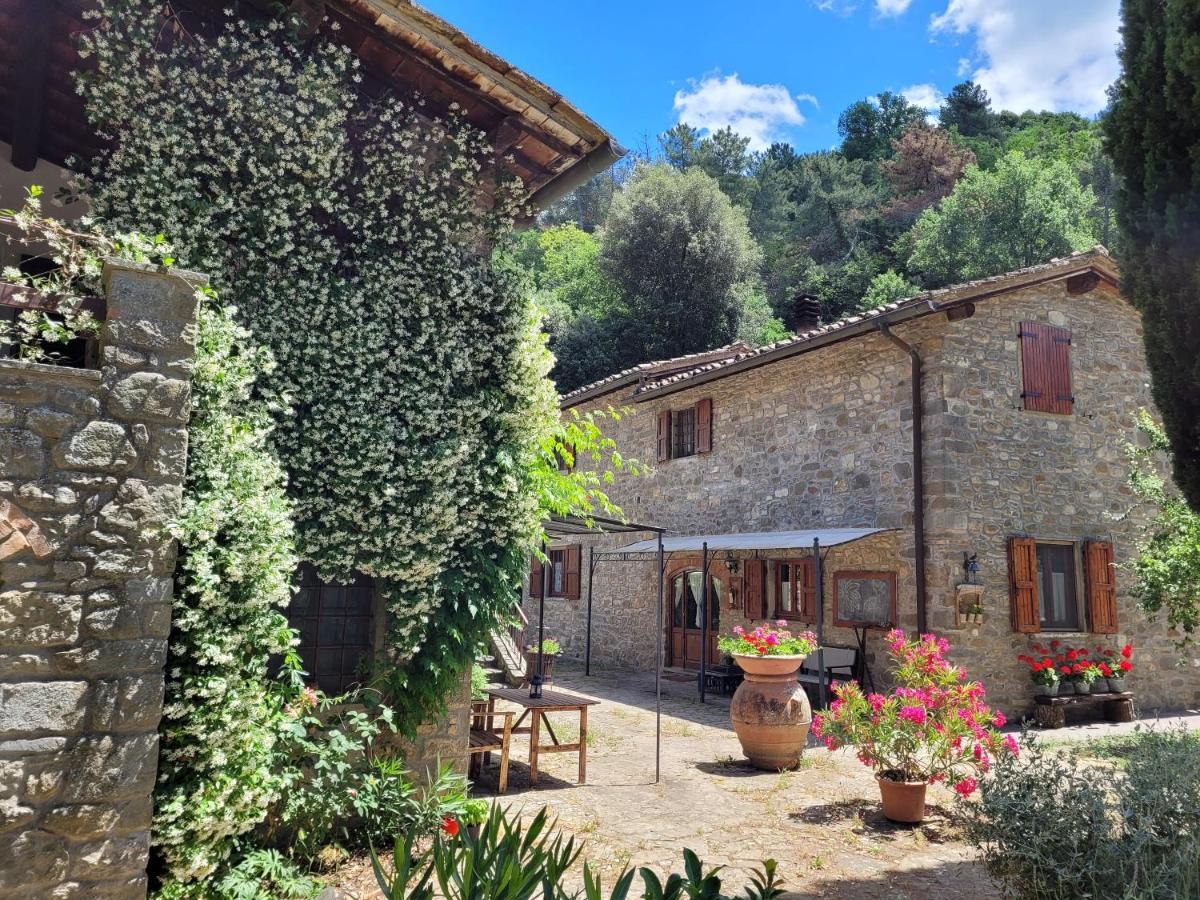 La Casa Nel Chianti Apartment Greve in Chianti Exterior photo