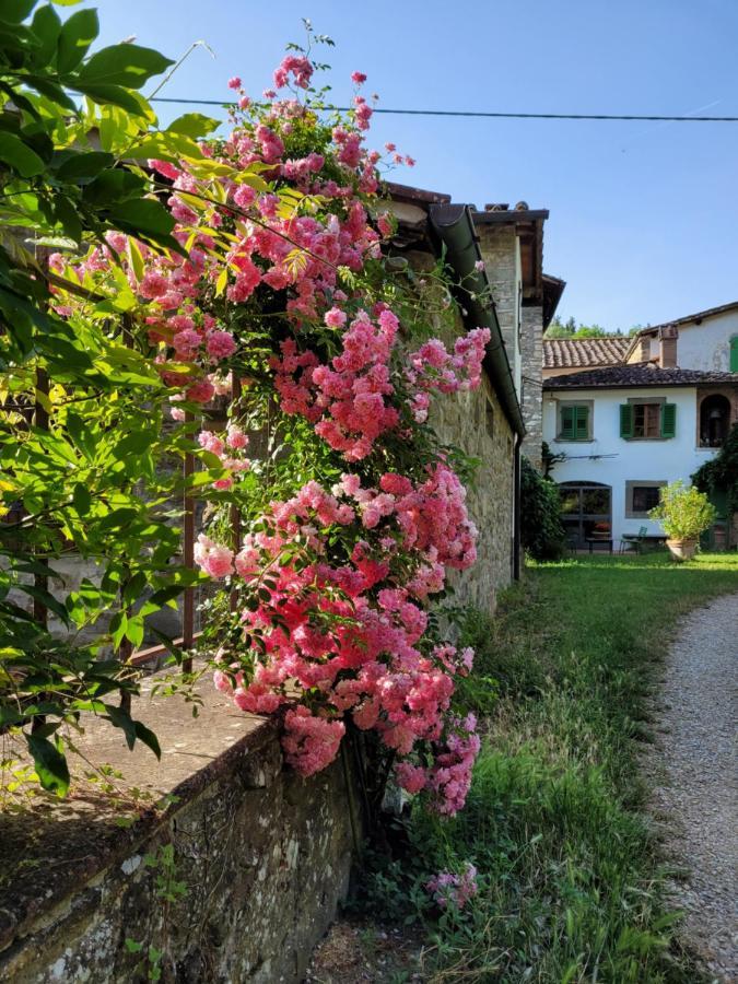 La Casa Nel Chianti Apartment Greve in Chianti Exterior photo