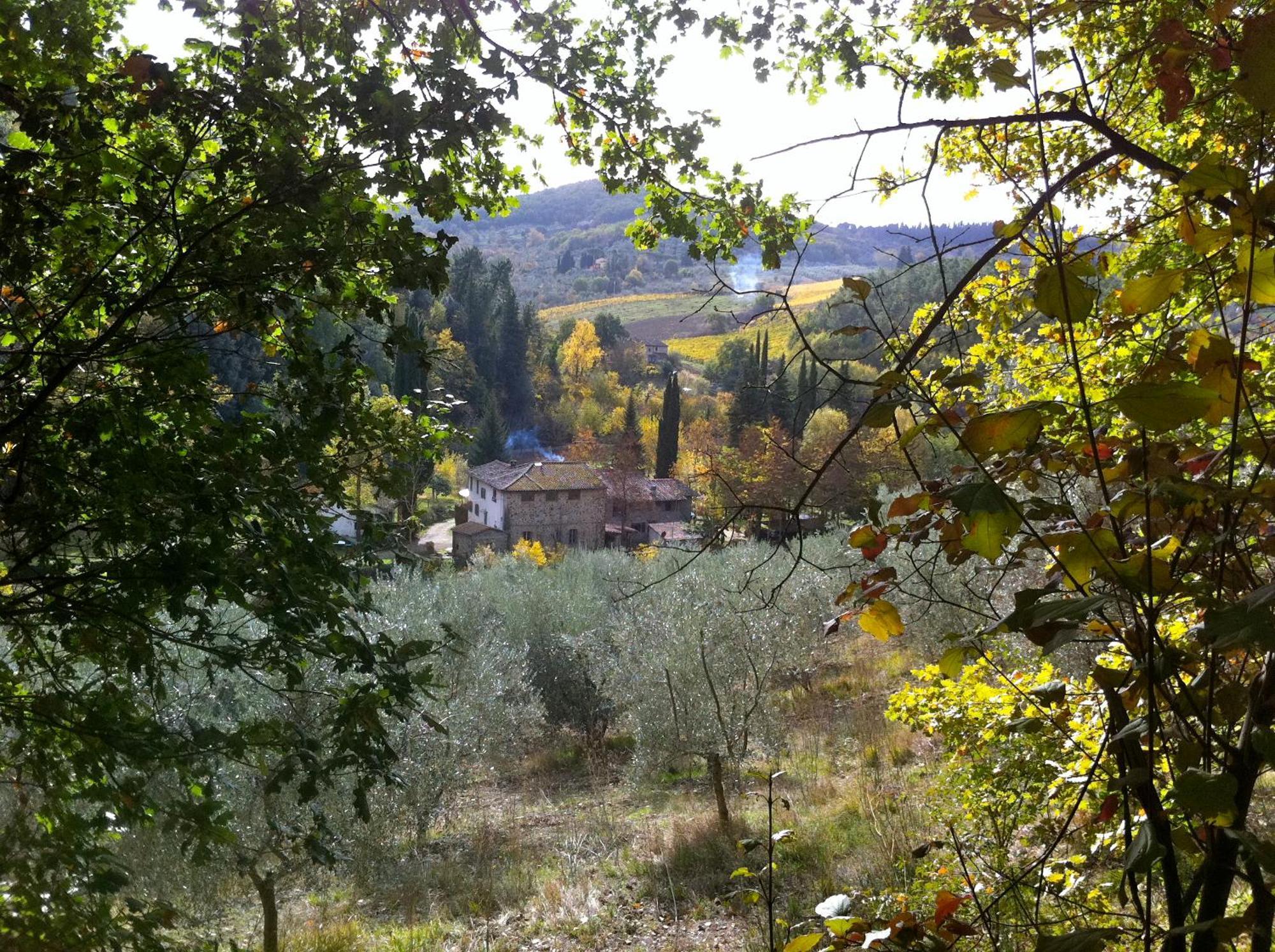 La Casa Nel Chianti Apartment Greve in Chianti Exterior photo