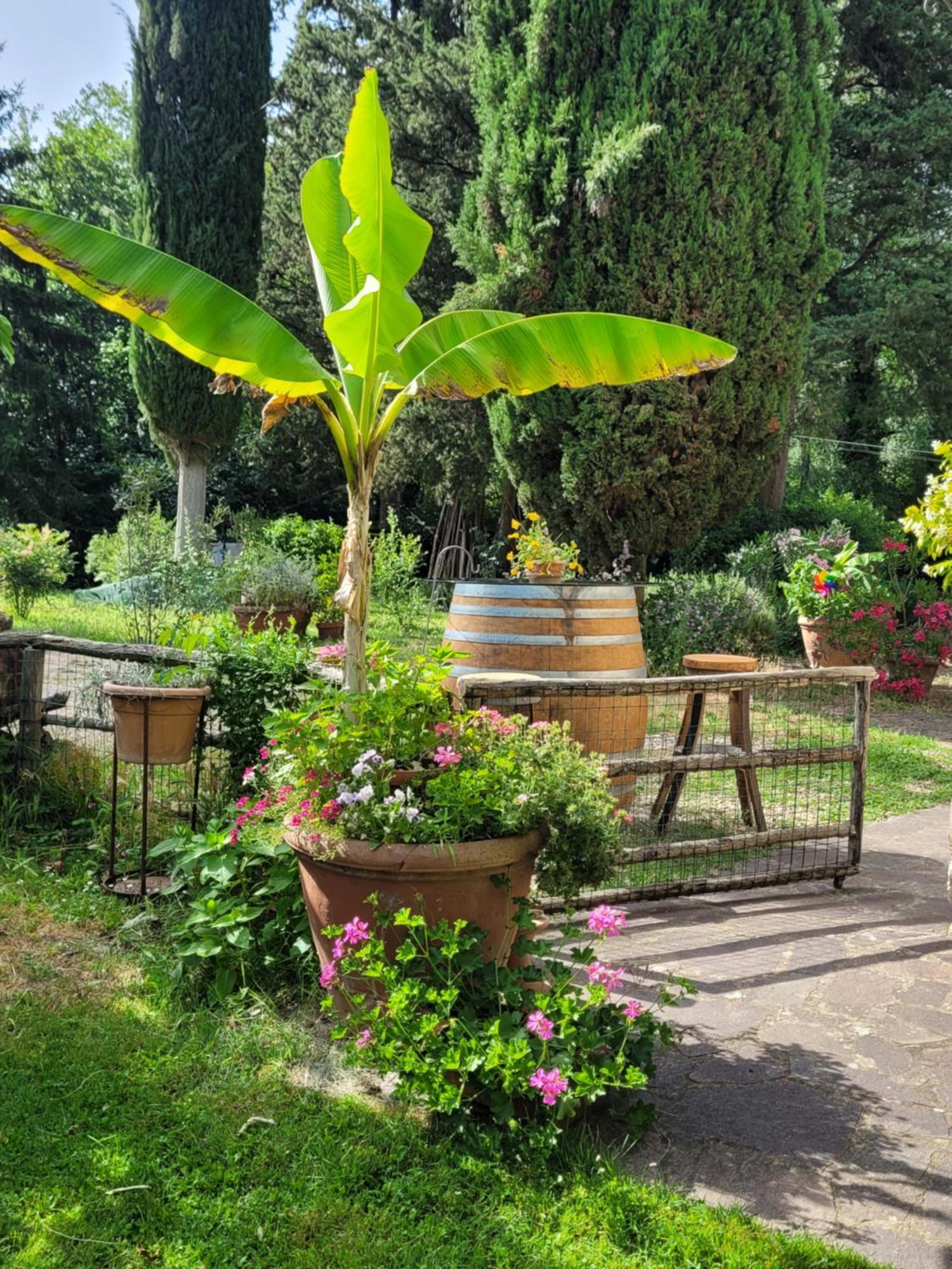 La Casa Nel Chianti Apartment Greve in Chianti Exterior photo
